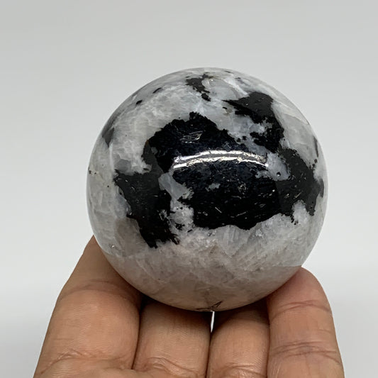 254.4g, 2.2"(56mm), Natural Rainbow Moonstone Sphere Ball Gemstone, B34339