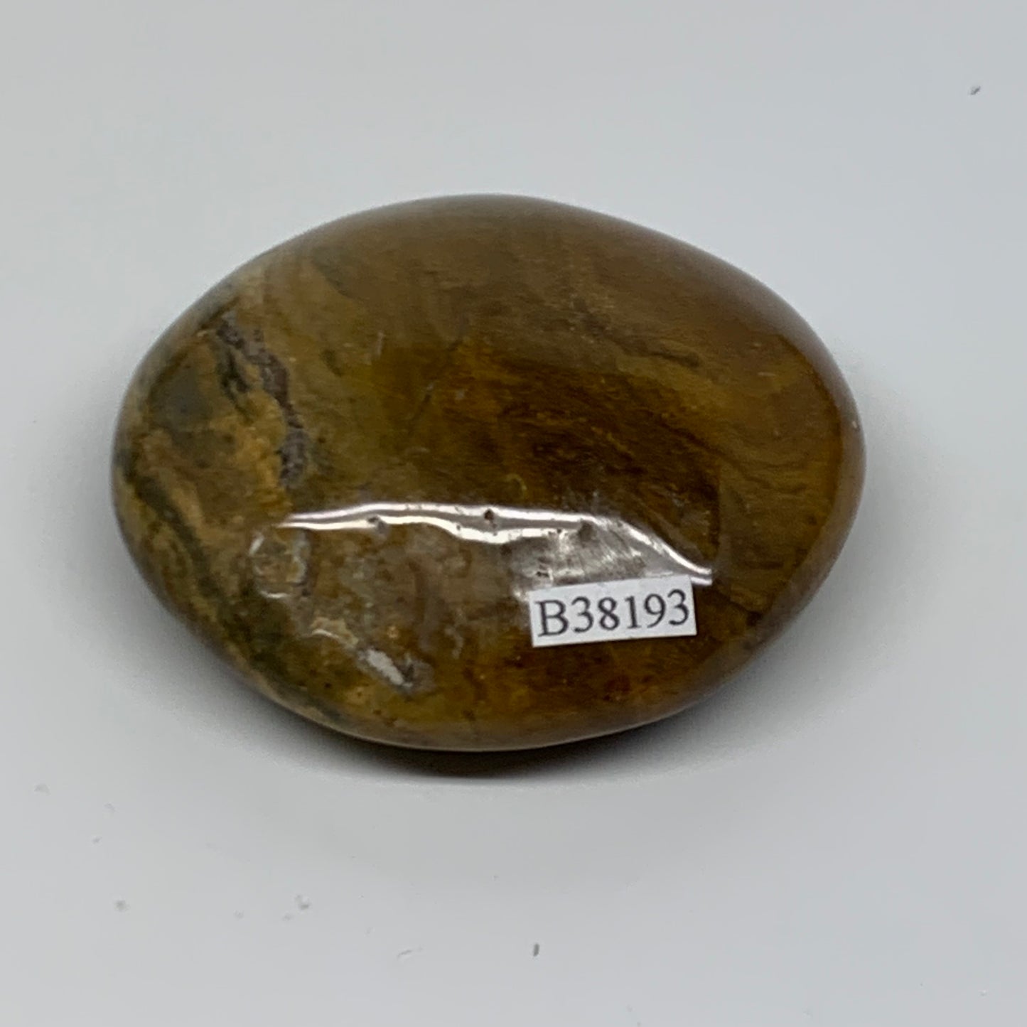 148.9g, 2.6"x2.5"x1" Natural Ocean Jasper Palm-Stone Orbicular Jasper, B38193