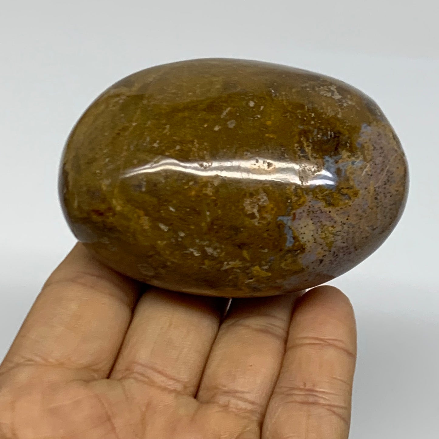 222.6g, 2.9"x2.1"x1.6" Natural Ocean Jasper Palm-Stone Orbicular Jasper, B38194