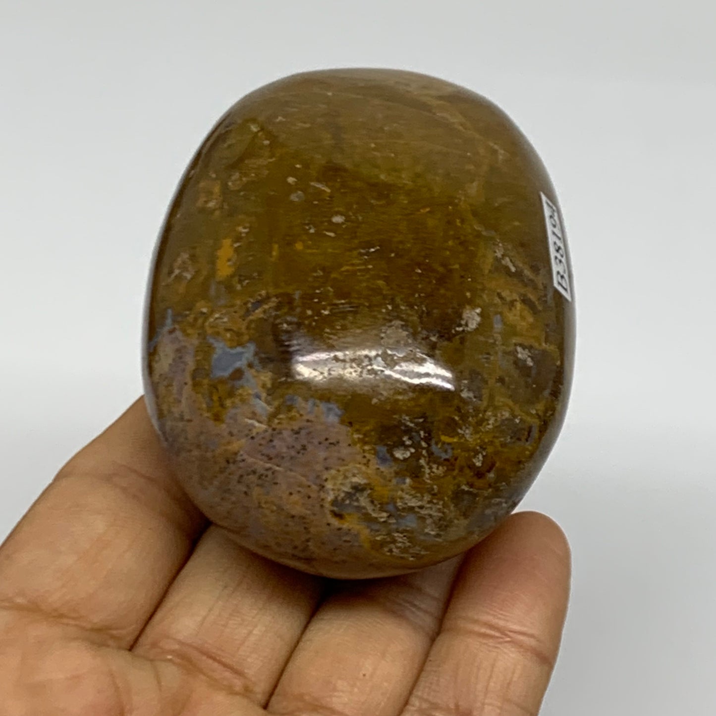 222.6g, 2.9"x2.1"x1.6" Natural Ocean Jasper Palm-Stone Orbicular Jasper, B38194