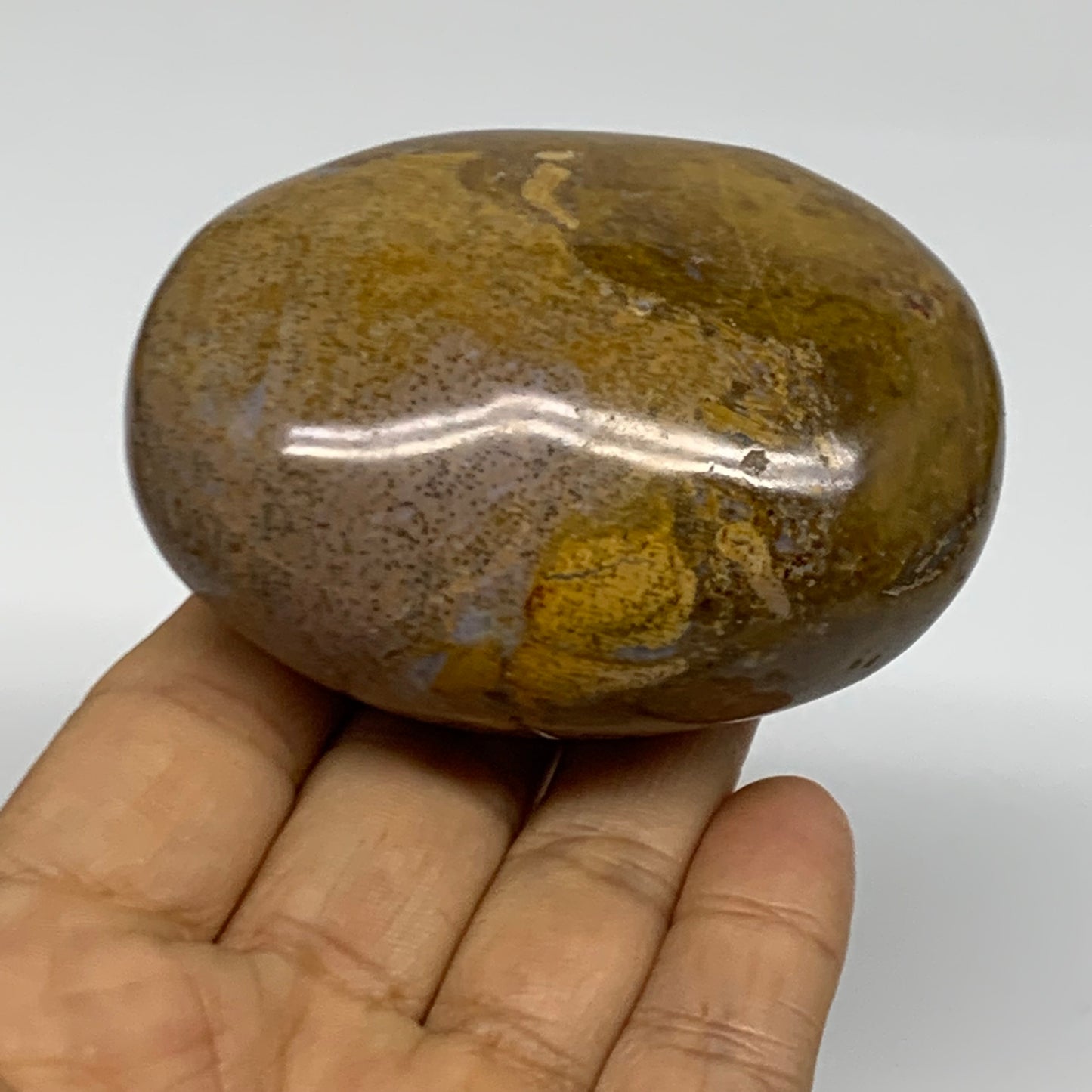 222.6g, 2.9"x2.1"x1.6" Natural Ocean Jasper Palm-Stone Orbicular Jasper, B38194
