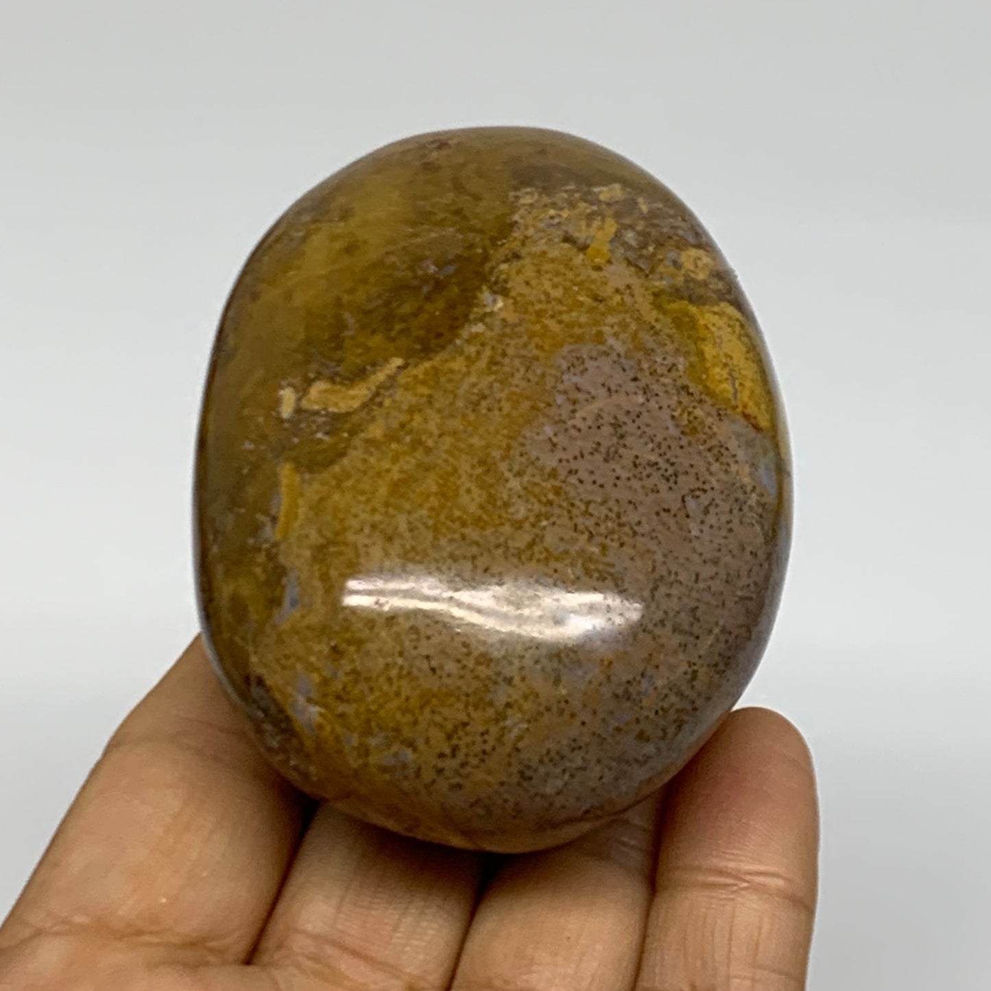 222.6g, 2.9"x2.1"x1.6" Natural Ocean Jasper Palm-Stone Orbicular Jasper, B38194