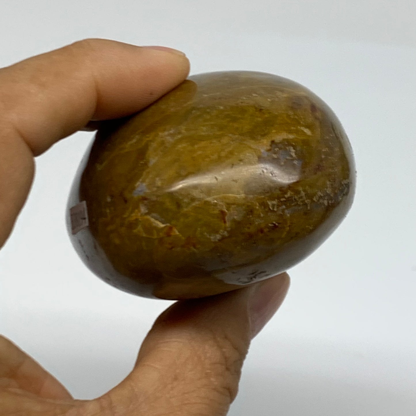 222.6g, 2.9"x2.1"x1.6" Natural Ocean Jasper Palm-Stone Orbicular Jasper, B38194