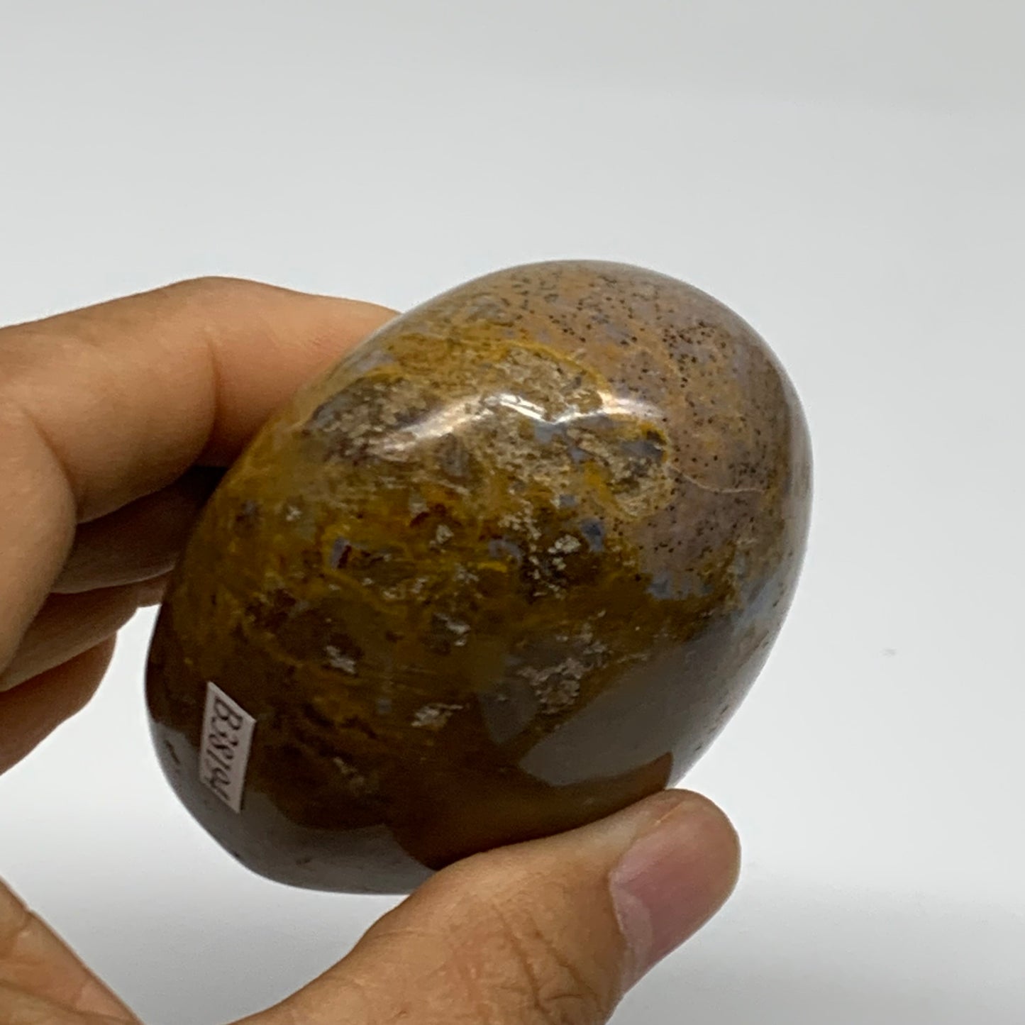 222.6g, 2.9"x2.1"x1.6" Natural Ocean Jasper Palm-Stone Orbicular Jasper, B38194