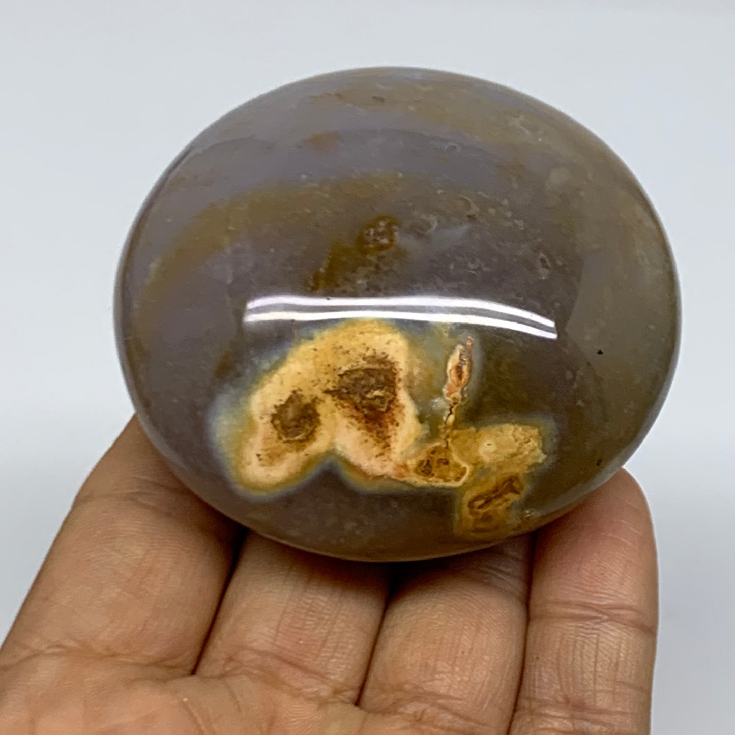 189.9g, 2.5"x2.5"x1.3" Natural Ocean Jasper Palm-Stone Orbicular Jasper, B38197