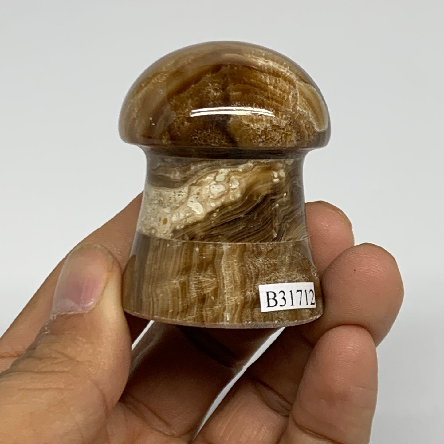 100g, 1.9"x1.4", Chocolate Calcite Mushroom 2 Pieces bonded @Pakistan, B31712