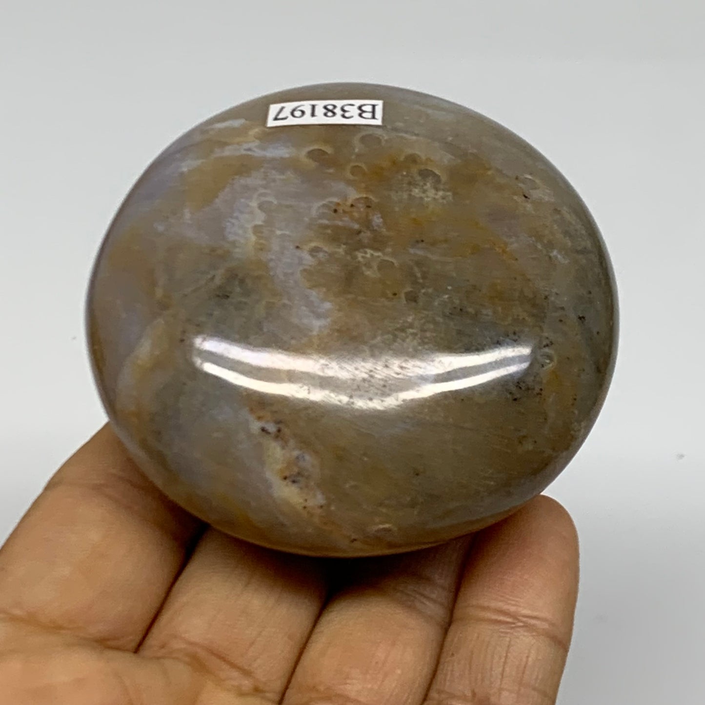 189.9g, 2.5"x2.5"x1.3" Natural Ocean Jasper Palm-Stone Orbicular Jasper, B38197