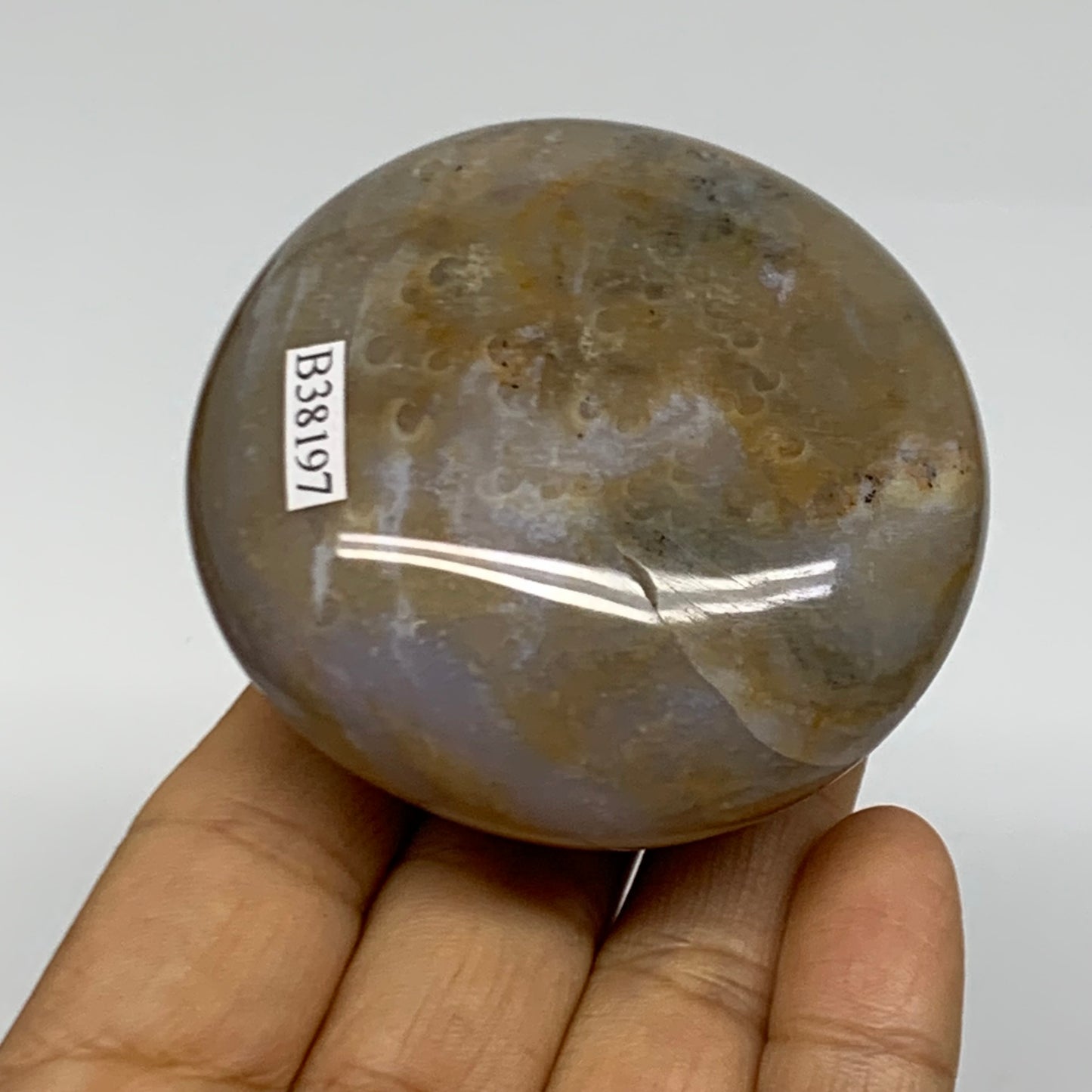 189.9g, 2.5"x2.5"x1.3" Natural Ocean Jasper Palm-Stone Orbicular Jasper, B38197