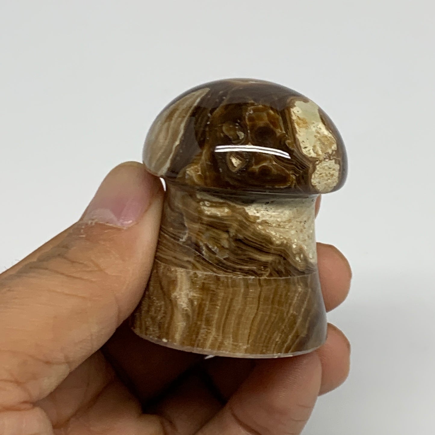 100g, 1.9"x1.4", Chocolate Calcite Mushroom 2 Pieces bonded @Pakistan, B31712