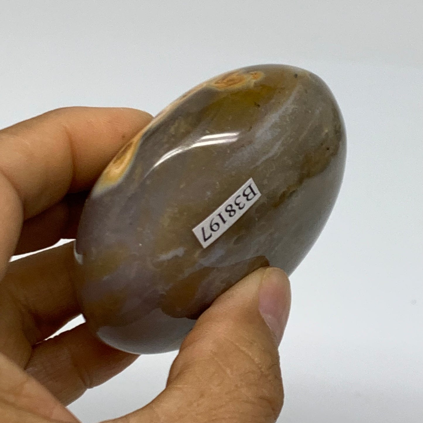 189.9g, 2.5"x2.5"x1.3" Natural Ocean Jasper Palm-Stone Orbicular Jasper, B38197