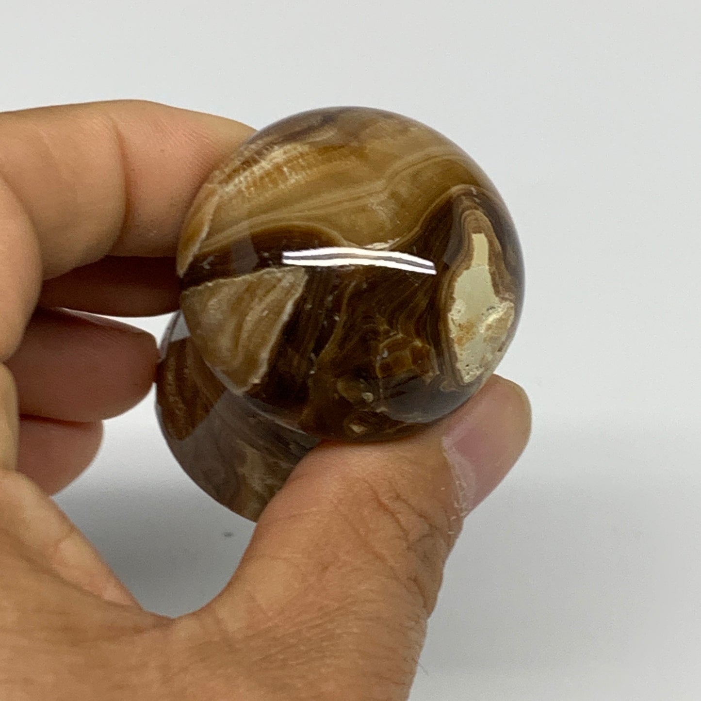 100g, 1.9"x1.4", Chocolate Calcite Mushroom 2 Pieces bonded @Pakistan, B31712