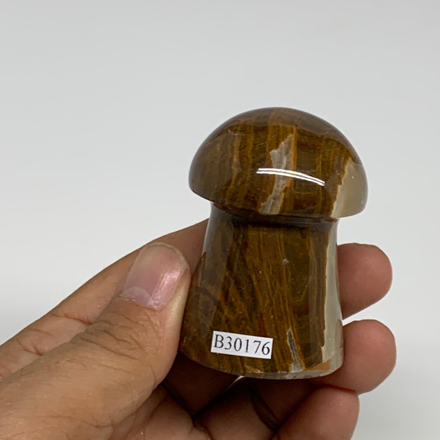 115g, 2.1"x1.4" Natural Onxy Mushroom Gemstone @Pakistan, B30176