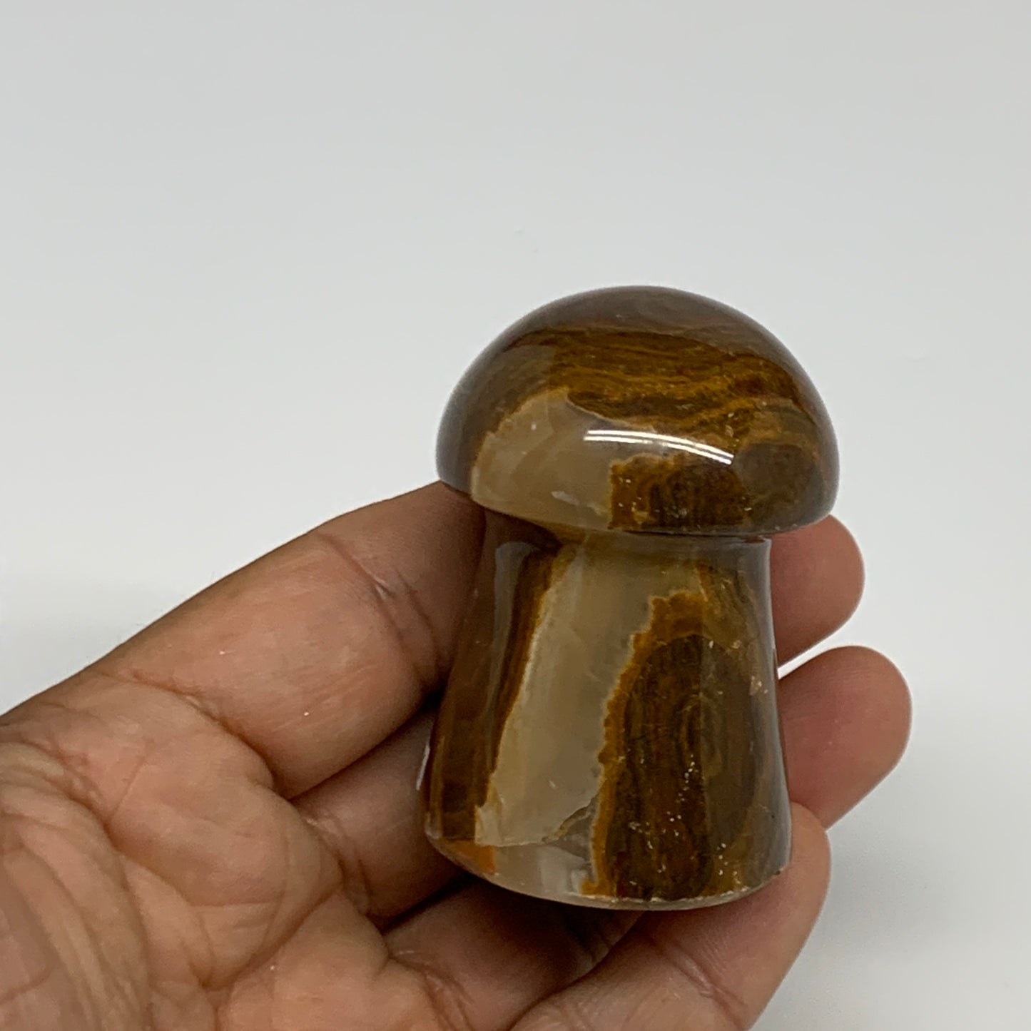 115g, 2.1"x1.4" Natural Onxy Mushroom Gemstone @Pakistan, B30176