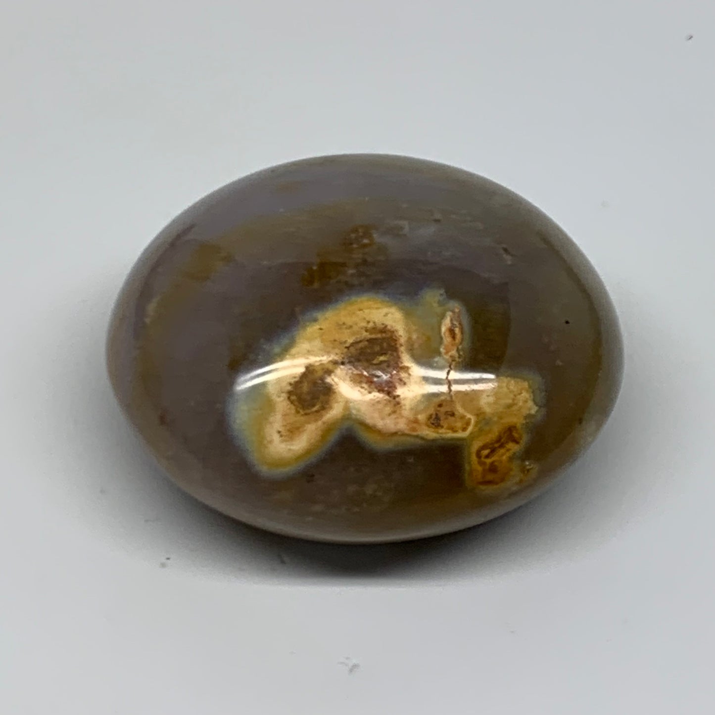 189.9g, 2.5"x2.5"x1.3" Natural Ocean Jasper Palm-Stone Orbicular Jasper, B38197