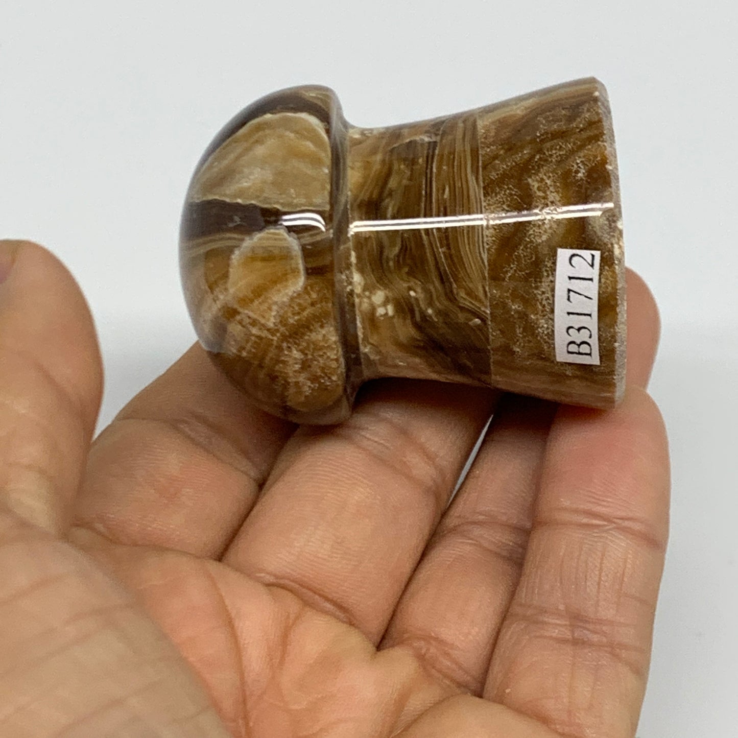 100g, 1.9"x1.4", Chocolate Calcite Mushroom 2 Pieces bonded @Pakistan, B31712