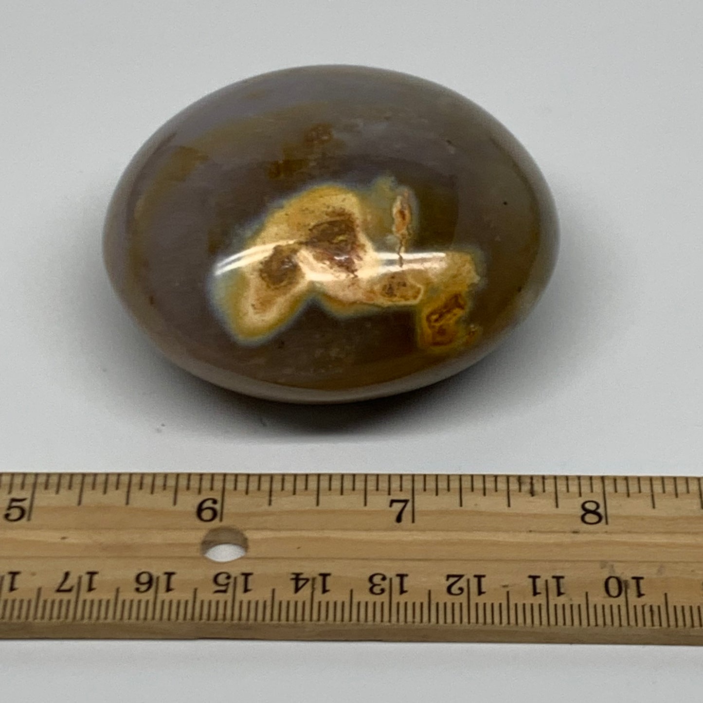 189.9g, 2.5"x2.5"x1.3" Natural Ocean Jasper Palm-Stone Orbicular Jasper, B38197