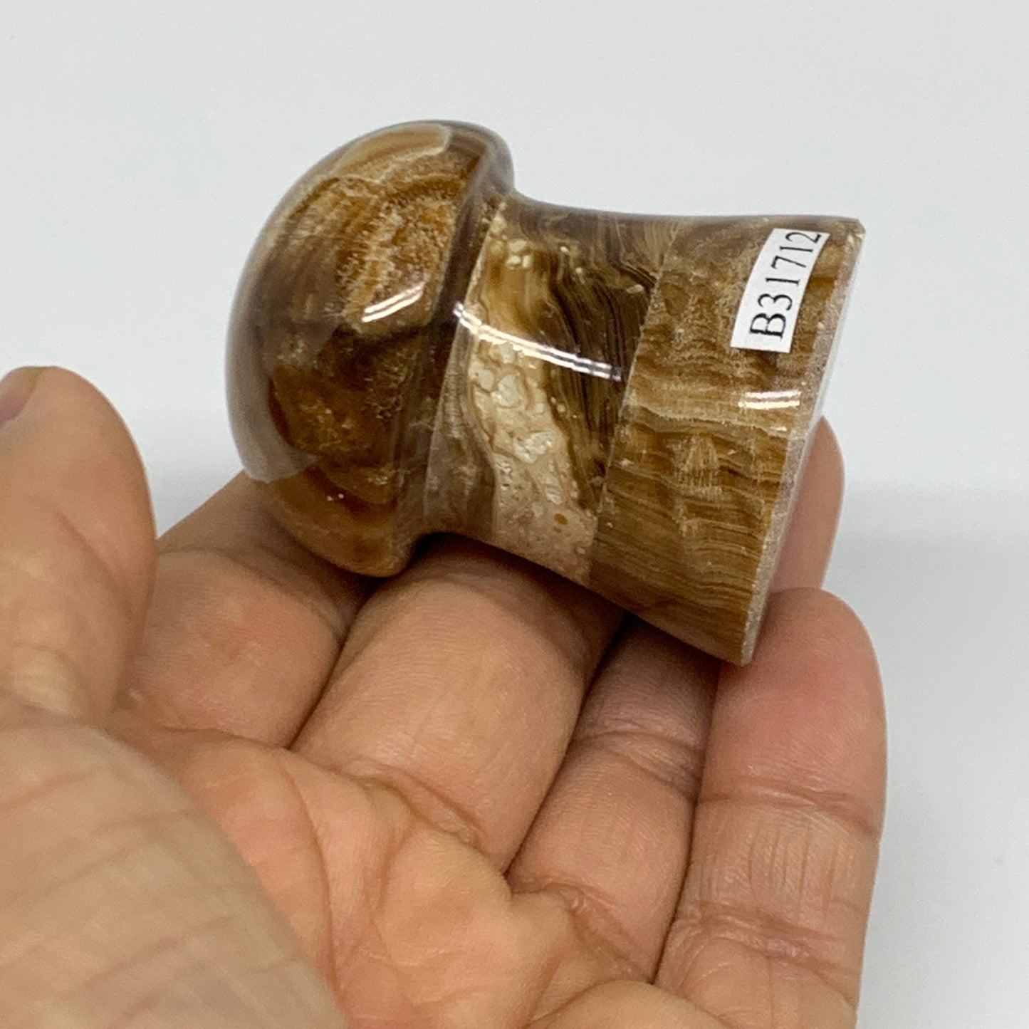 100g, 1.9"x1.4", Chocolate Calcite Mushroom 2 Pieces bonded @Pakistan, B31712