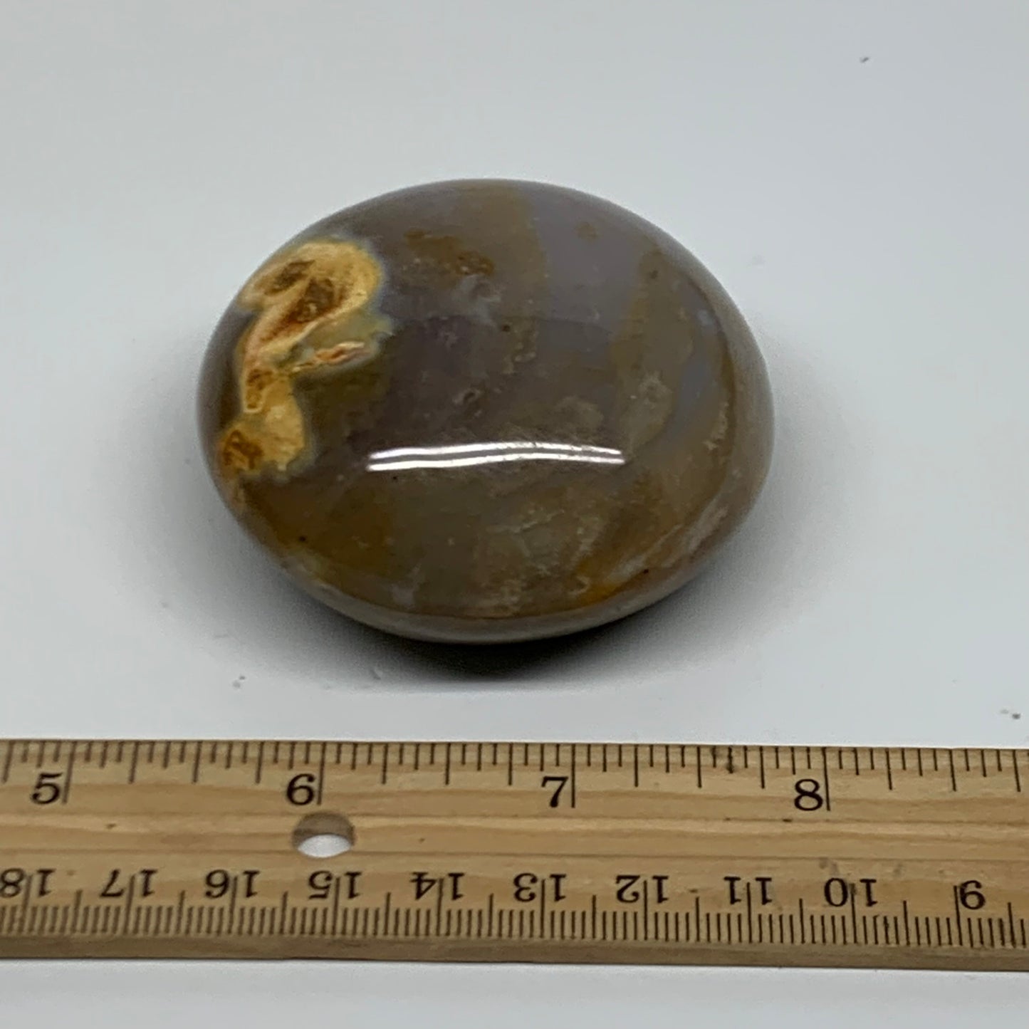 189.9g, 2.5"x2.5"x1.3" Natural Ocean Jasper Palm-Stone Orbicular Jasper, B38197