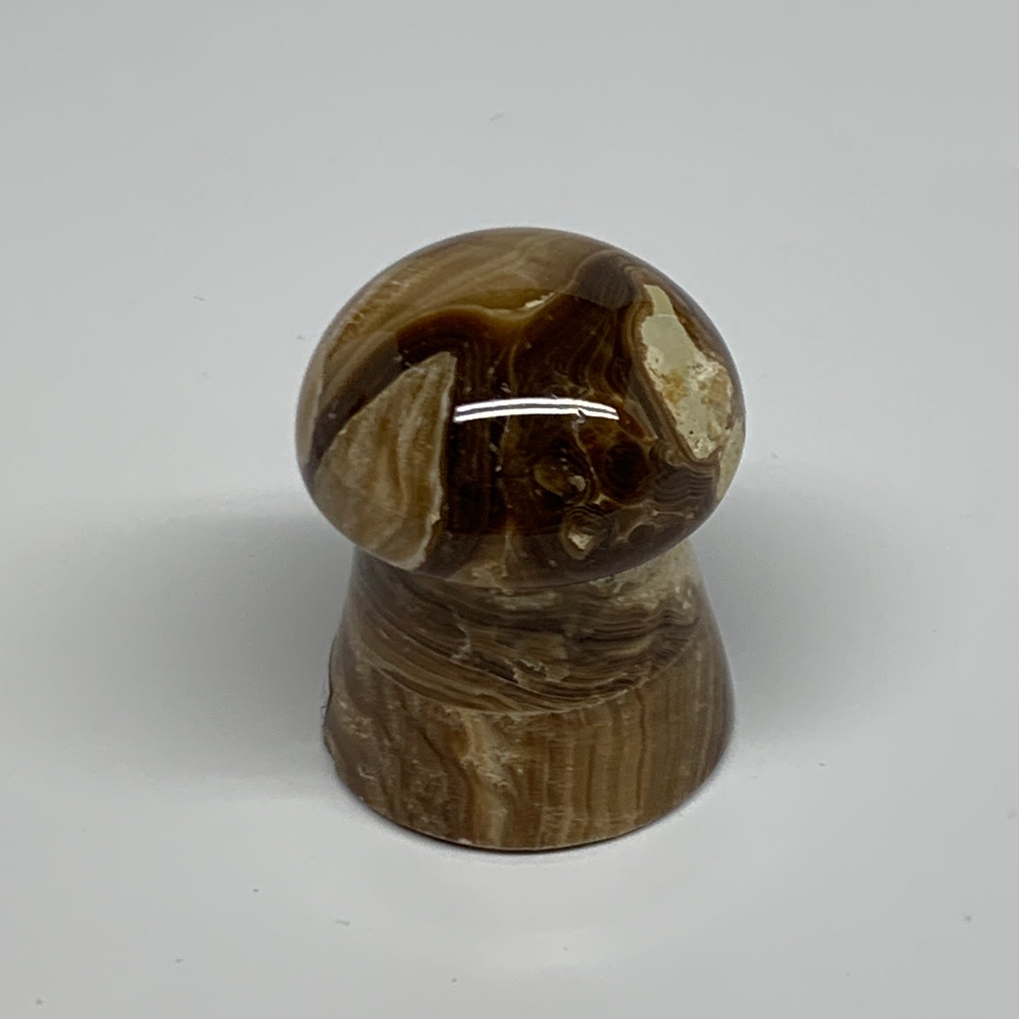 100g, 1.9"x1.4", Chocolate Calcite Mushroom 2 Pieces bonded @Pakistan, B31712