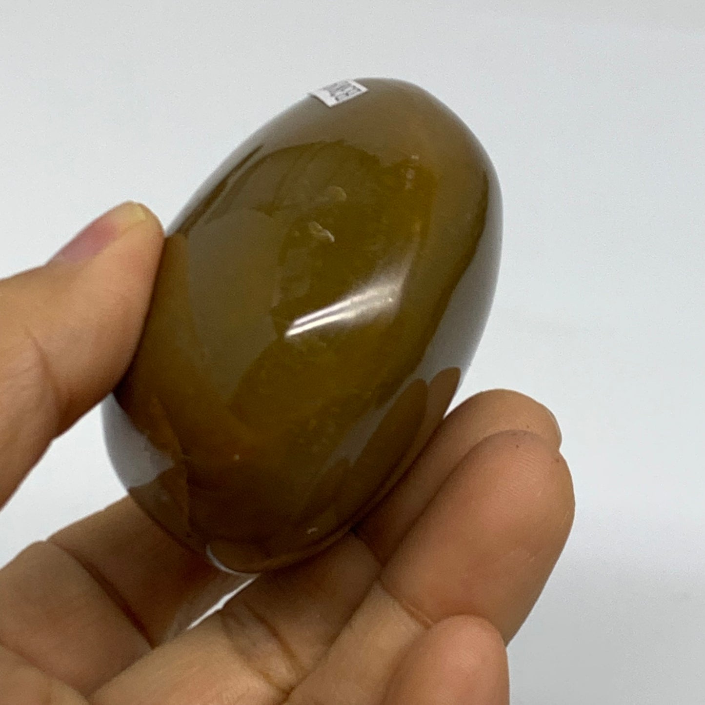 184.5g, 2.5"x2.3"x1.5" Natural Ocean Jasper Palm-Stone Orbicular Jasper, B38198