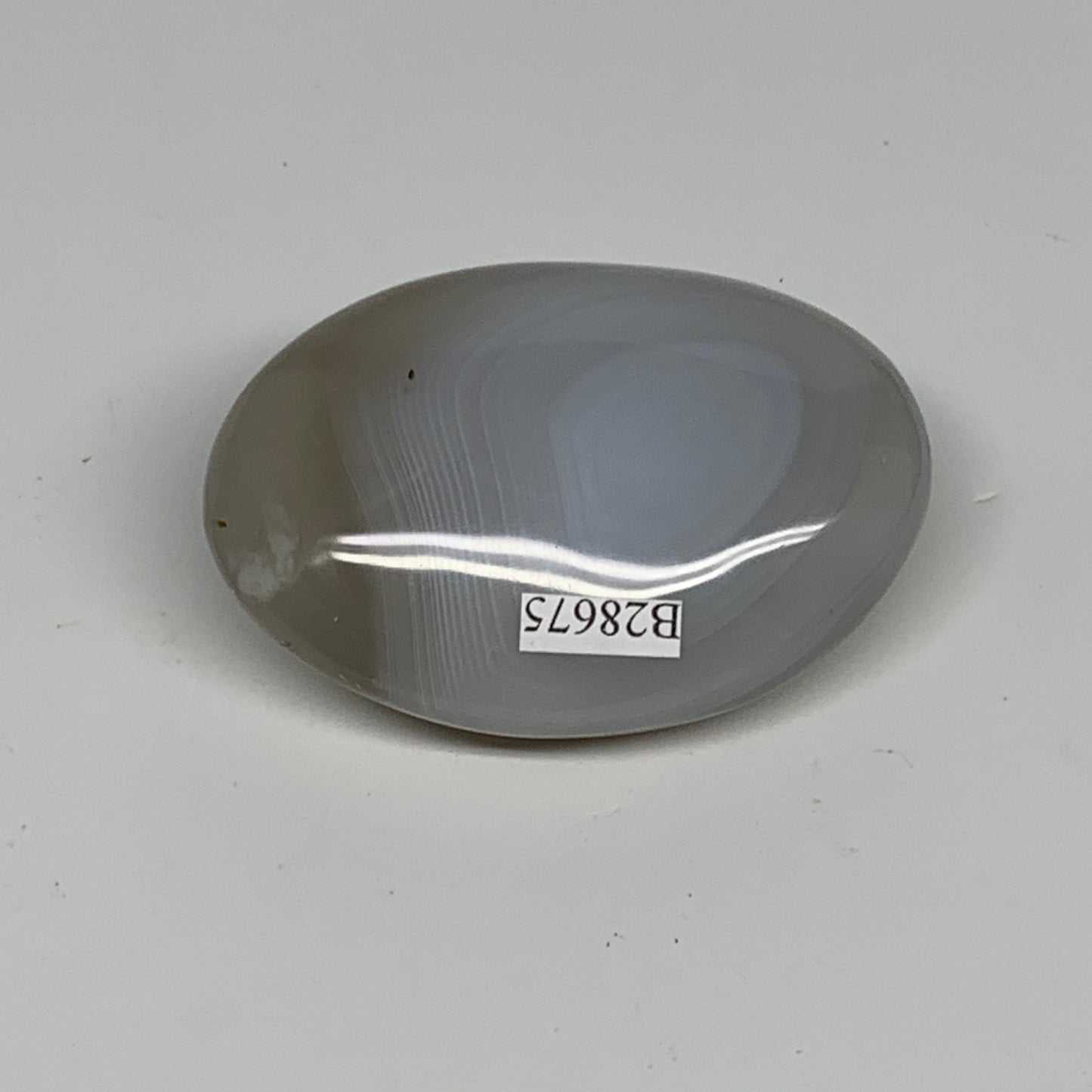 102g, 2.5"x1.9"x1" Orca Agate Palm-Stone Reiki Energy Crystal Reiki, B28675