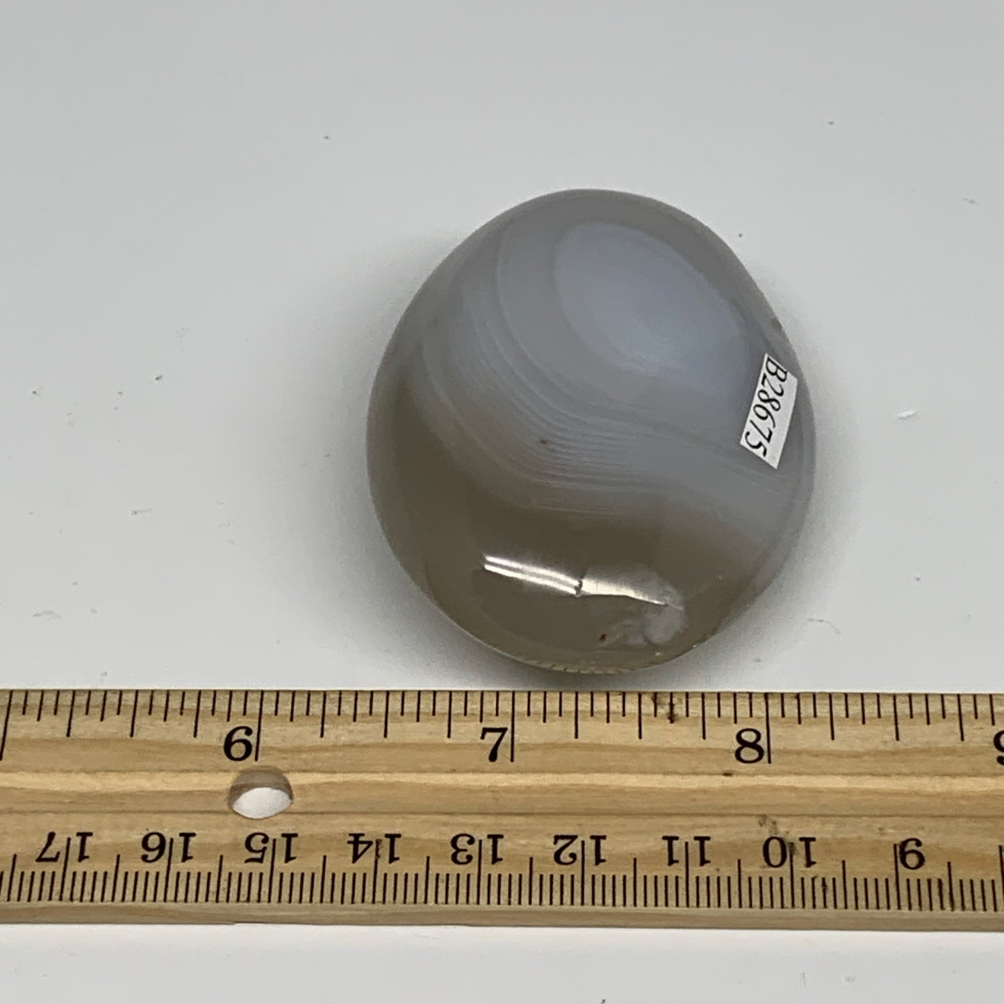 102g, 2.5"x1.9"x1" Orca Agate Palm-Stone Reiki Energy Crystal Reiki, B28675