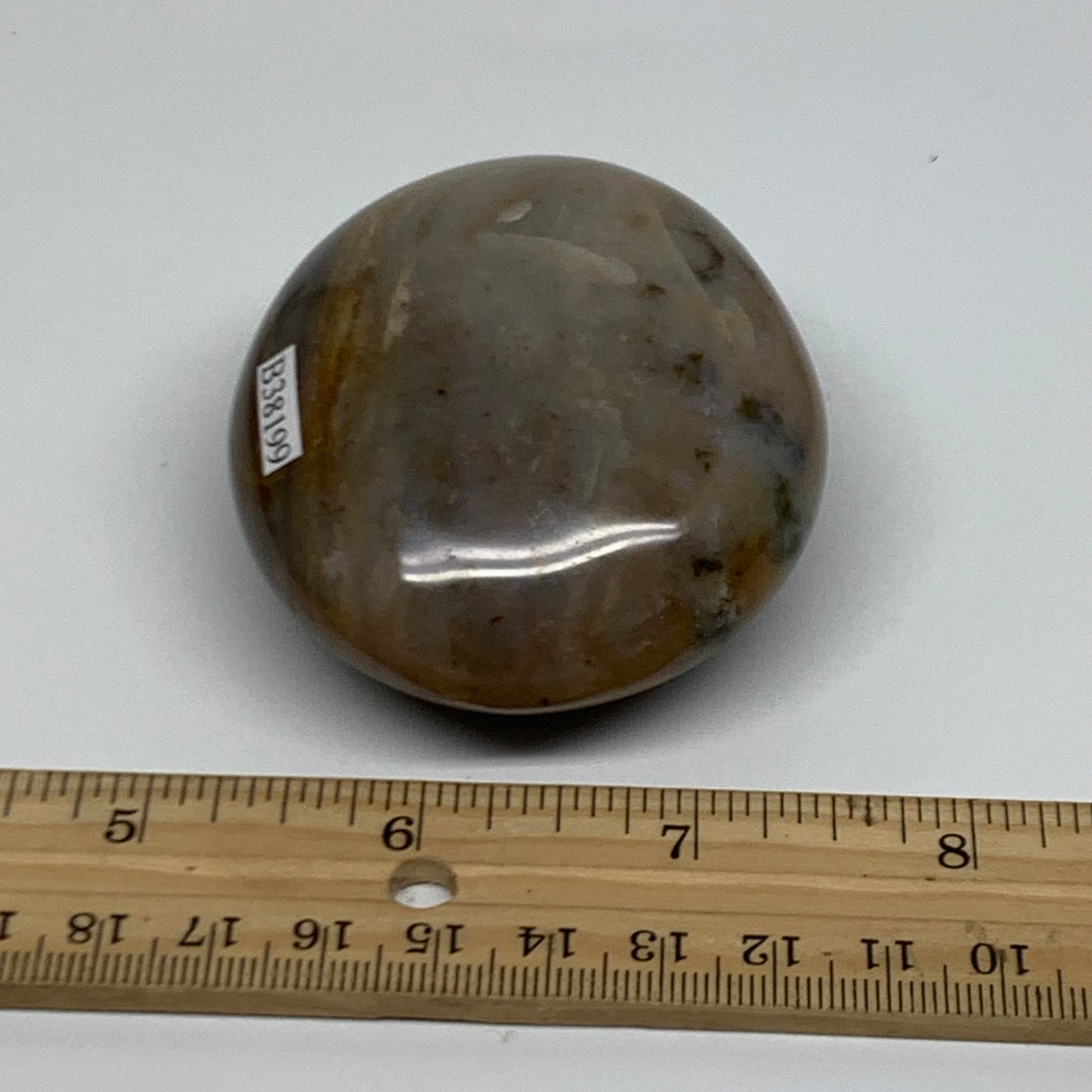 180g, 2.7"x2.3"x1.3" Natural Ocean Jasper Palm-Stone Orbicular Jasper, B38199