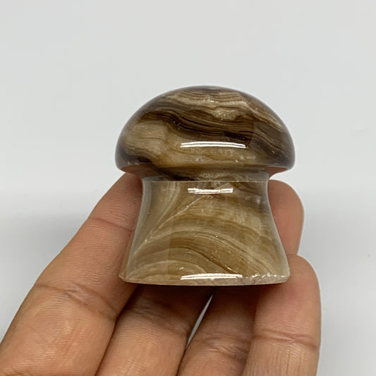 91g, 1.6"x1.4", Chocolate Calcite Mushroom 2 Pieces bonded @Pakistan, B31709