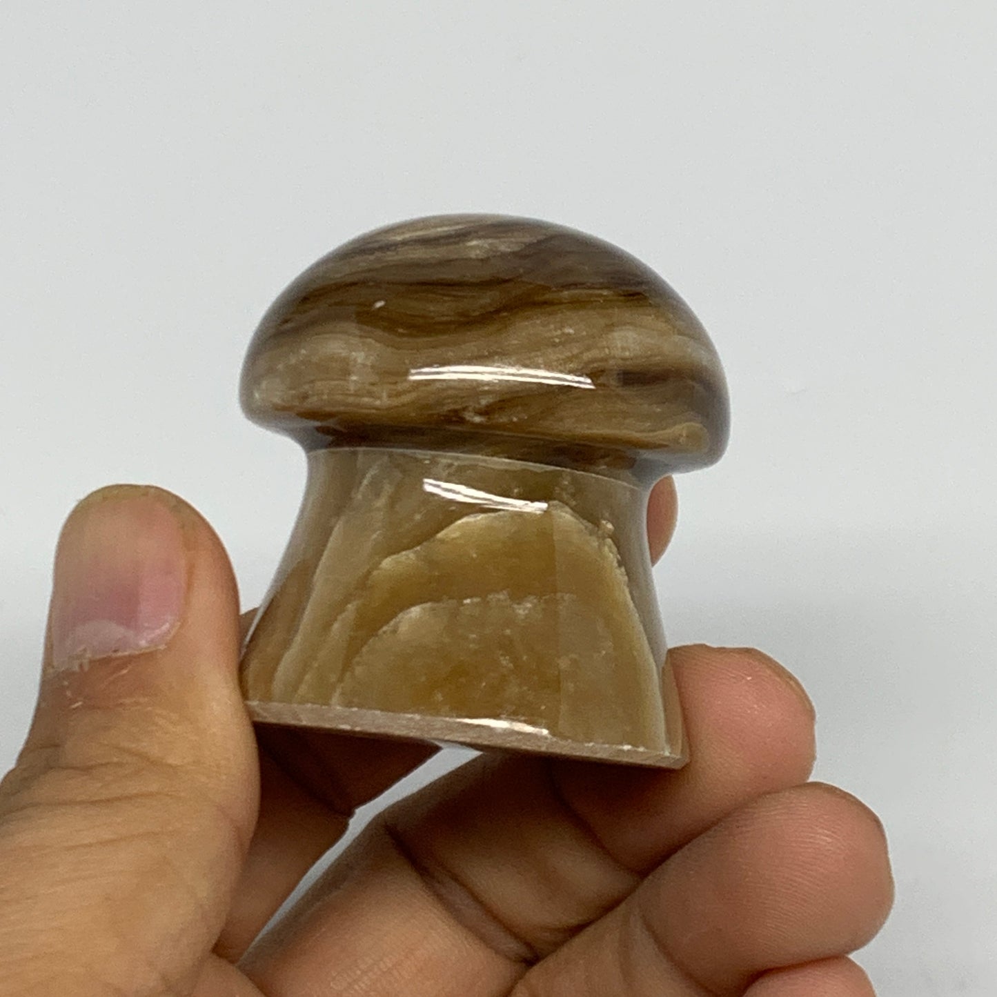 91g, 1.6"x1.4", Chocolate Calcite Mushroom 2 Pieces bonded @Pakistan, B31709