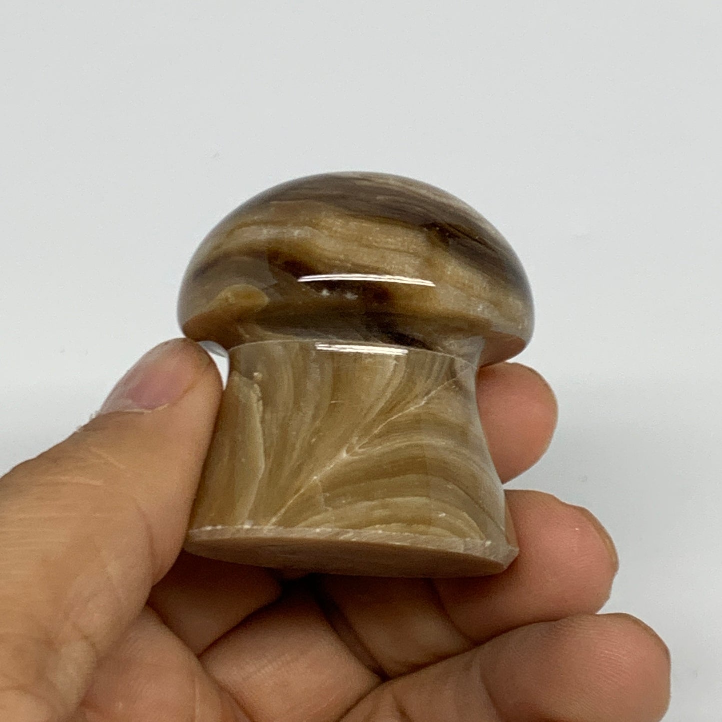 91g, 1.6"x1.4", Chocolate Calcite Mushroom 2 Pieces bonded @Pakistan, B31709