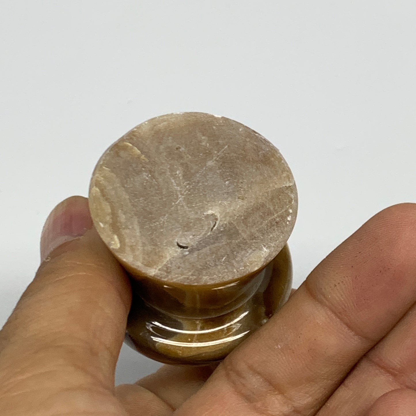 91g, 1.6"x1.4", Chocolate Calcite Mushroom 2 Pieces bonded @Pakistan, B31709