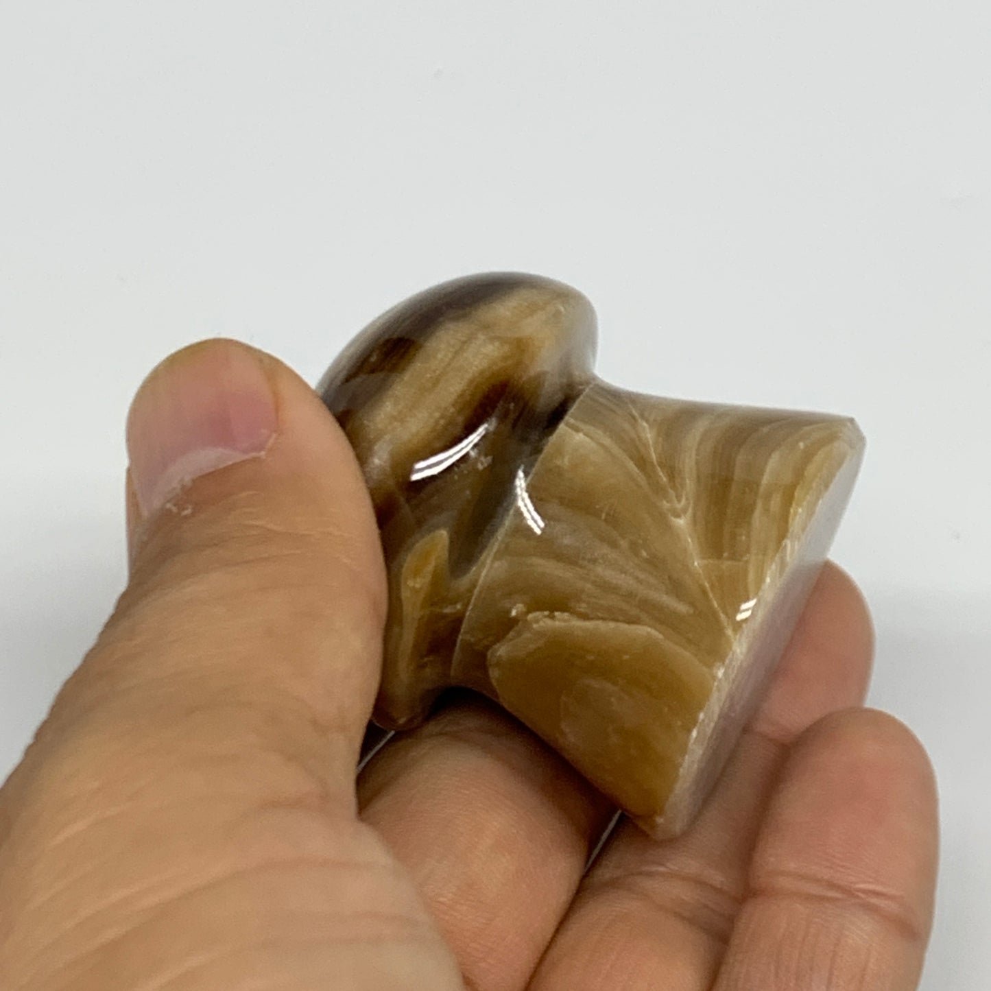 91g, 1.6"x1.4", Chocolate Calcite Mushroom 2 Pieces bonded @Pakistan, B31709