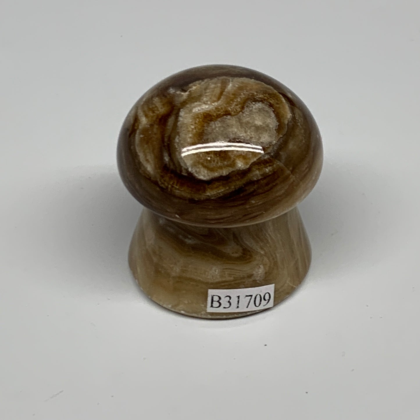 91g, 1.6"x1.4", Chocolate Calcite Mushroom 2 Pieces bonded @Pakistan, B31709