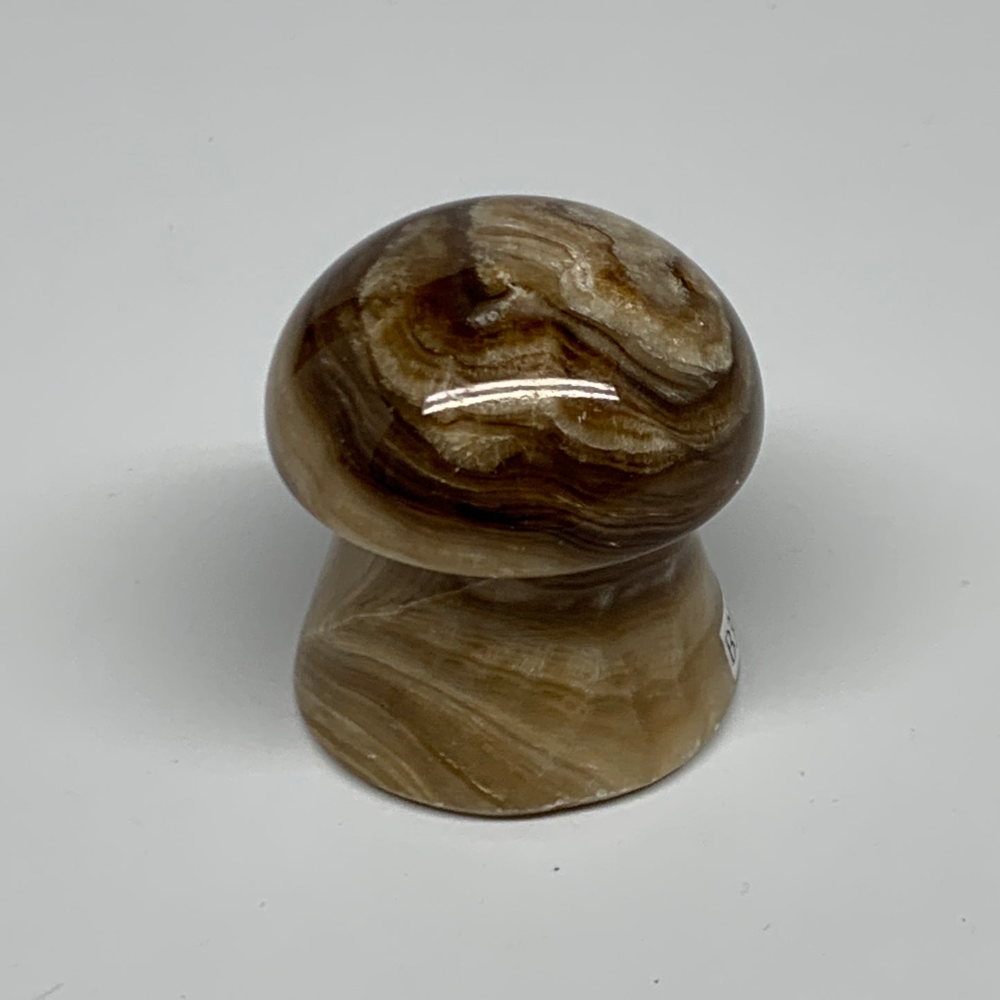 91g, 1.6"x1.4", Chocolate Calcite Mushroom 2 Pieces bonded @Pakistan, B31709