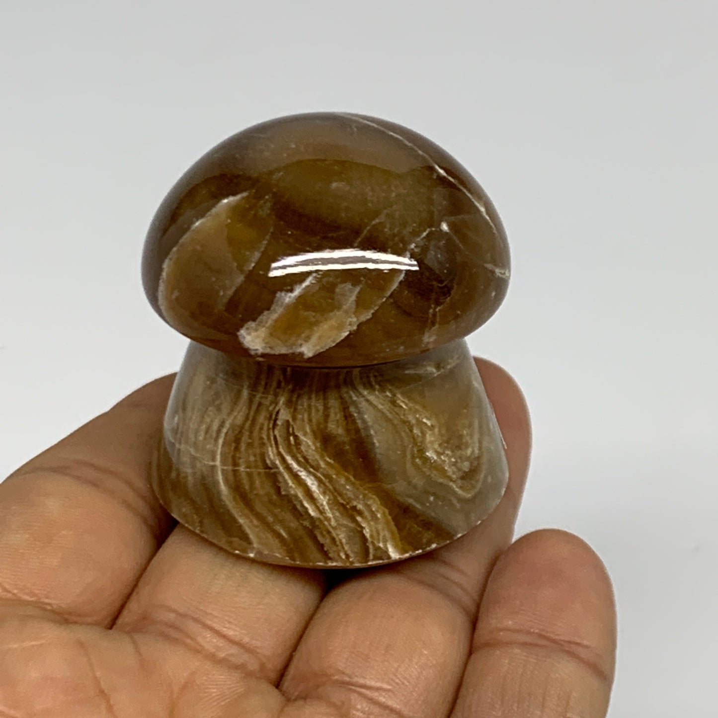 87.5g, 1.6"x1.6", Chocolate Calcite Mushroom 2 Pieces bonded @Pakistan, B31708