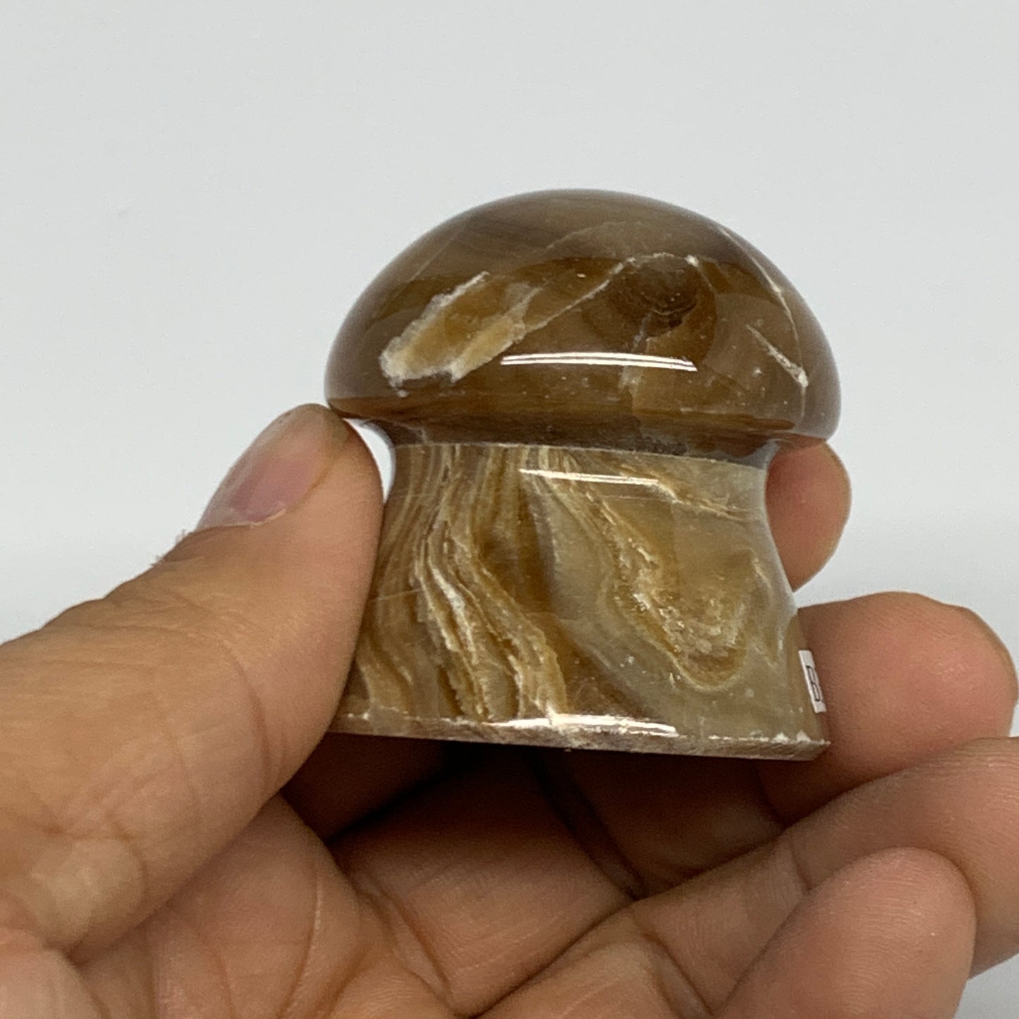 87.5g, 1.6"x1.6", Chocolate Calcite Mushroom 2 Pieces bonded @Pakistan, B31708