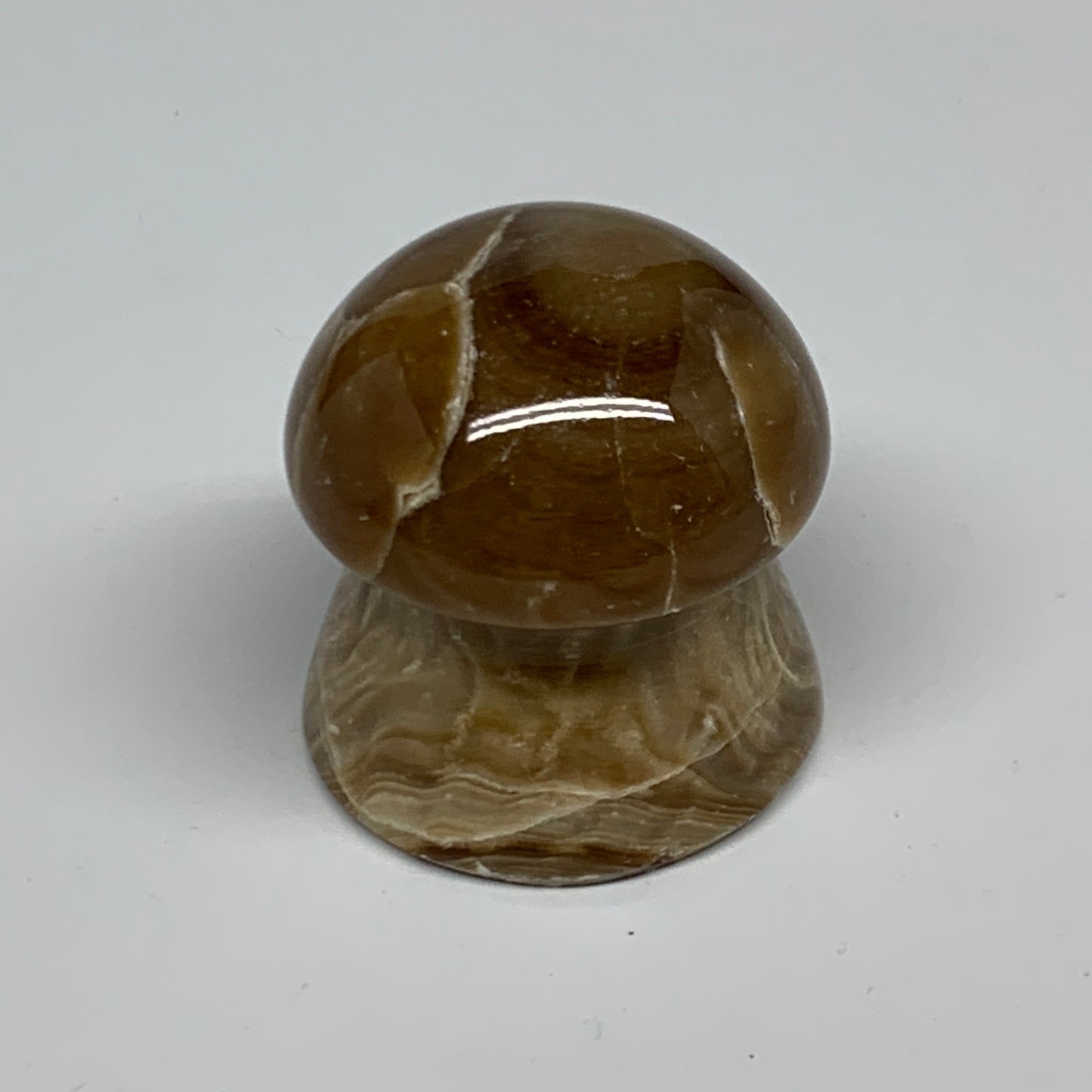 87.5g, 1.6"x1.6", Chocolate Calcite Mushroom 2 Pieces bonded @Pakistan, B31708