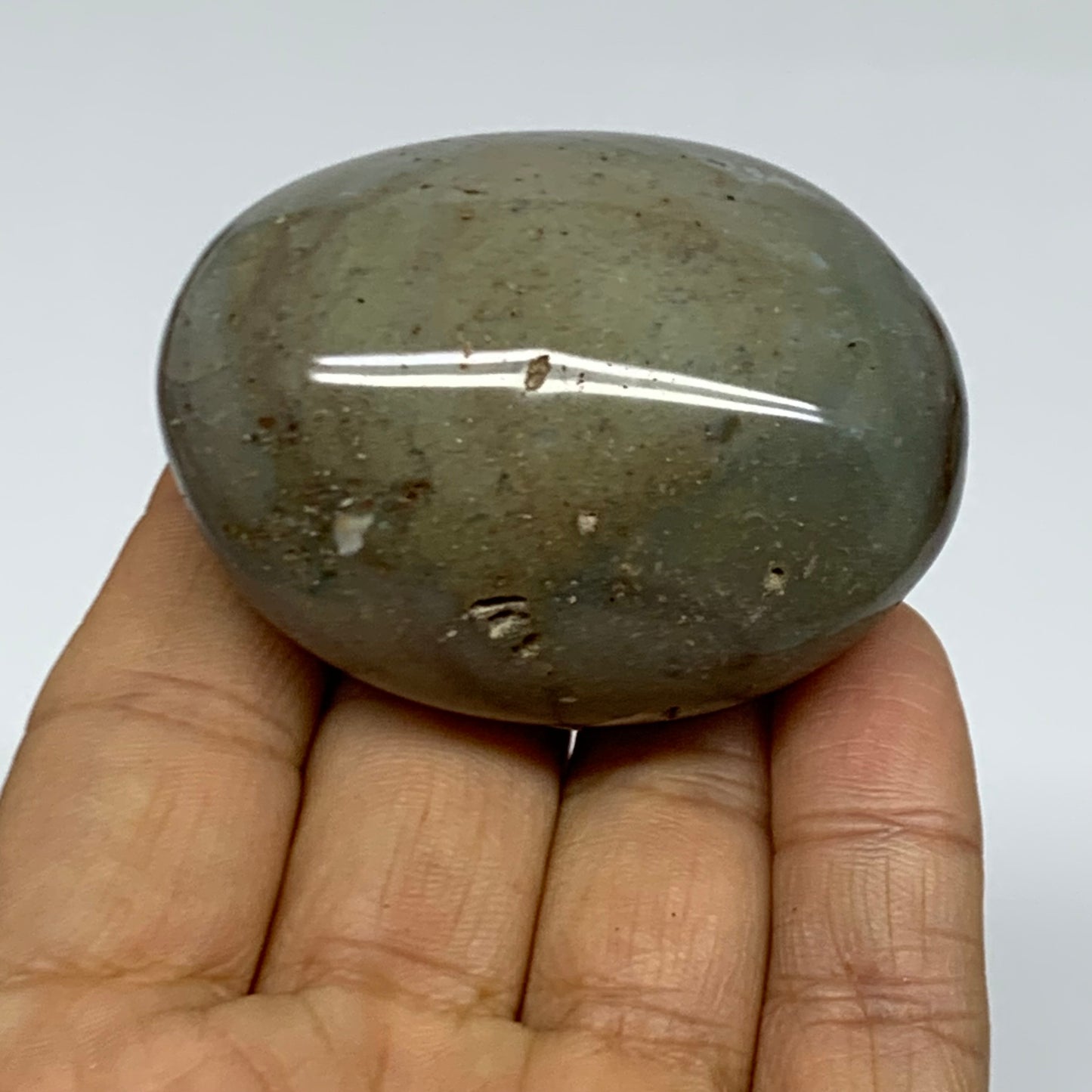 101.1g, 2.3"x1.7"x1.2" Natural Ocean Jasper Palm-Stone Orbicular Jasper, B38205