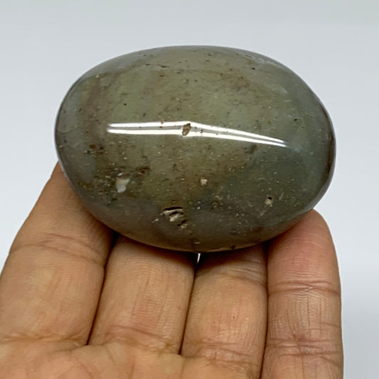 101.1g, 2.3"x1.7"x1.2" Natural Ocean Jasper Palm-Stone Orbicular Jasper, B38205