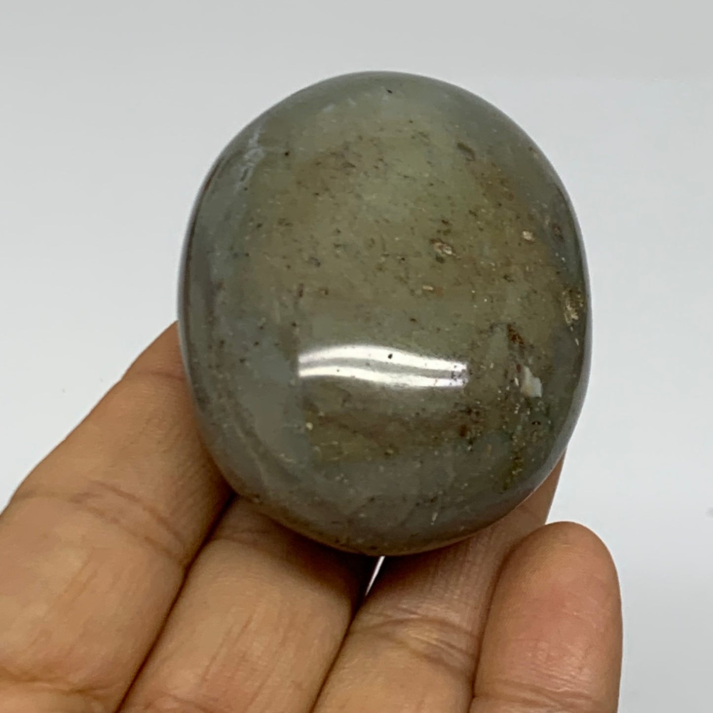 101.1g, 2.3"x1.7"x1.2" Natural Ocean Jasper Palm-Stone Orbicular Jasper, B38205