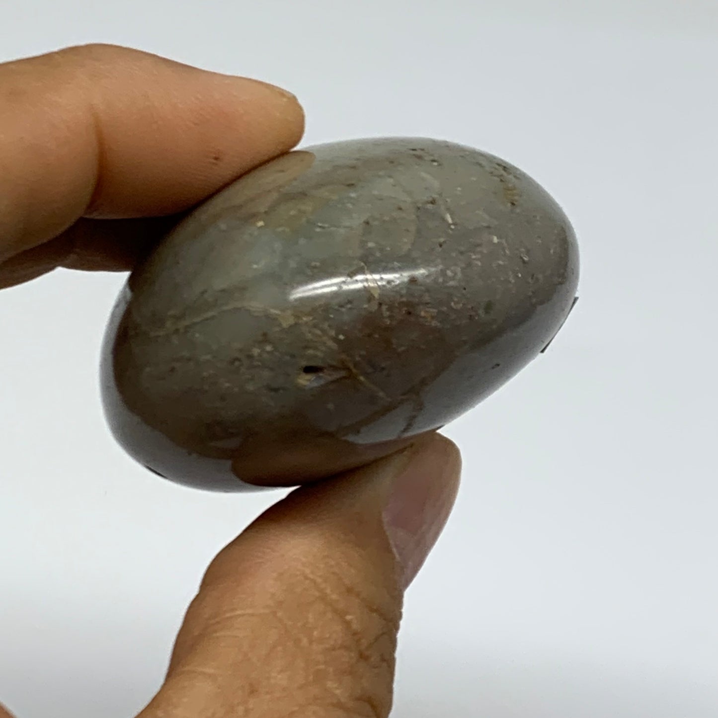 101.1g, 2.3"x1.7"x1.2" Natural Ocean Jasper Palm-Stone Orbicular Jasper, B38205