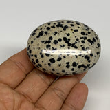 87.1g, 2.2"x1.8"x0.9", Natural Dalmatian Jasper Palm-Stone @India, B29443