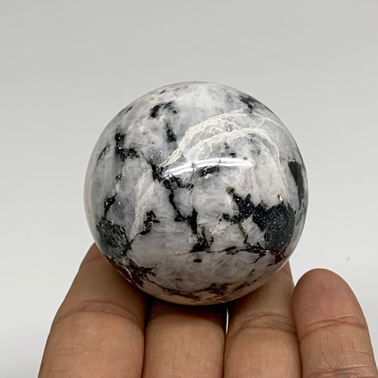 161.2g, 1.9"(48mm), Natural Rainbow Moonstone Sphere Ball Gemstone, B34351