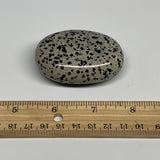 93.2g, 2.4"x1.7"x0.9", Natural Dalmatian Jasper Palm-Stone @India, B29444