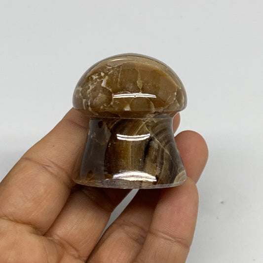 87g, 1.6"x1.4", Chocolate Calcite Mushroom 2 Pieces bonded @Pakistan, B31705