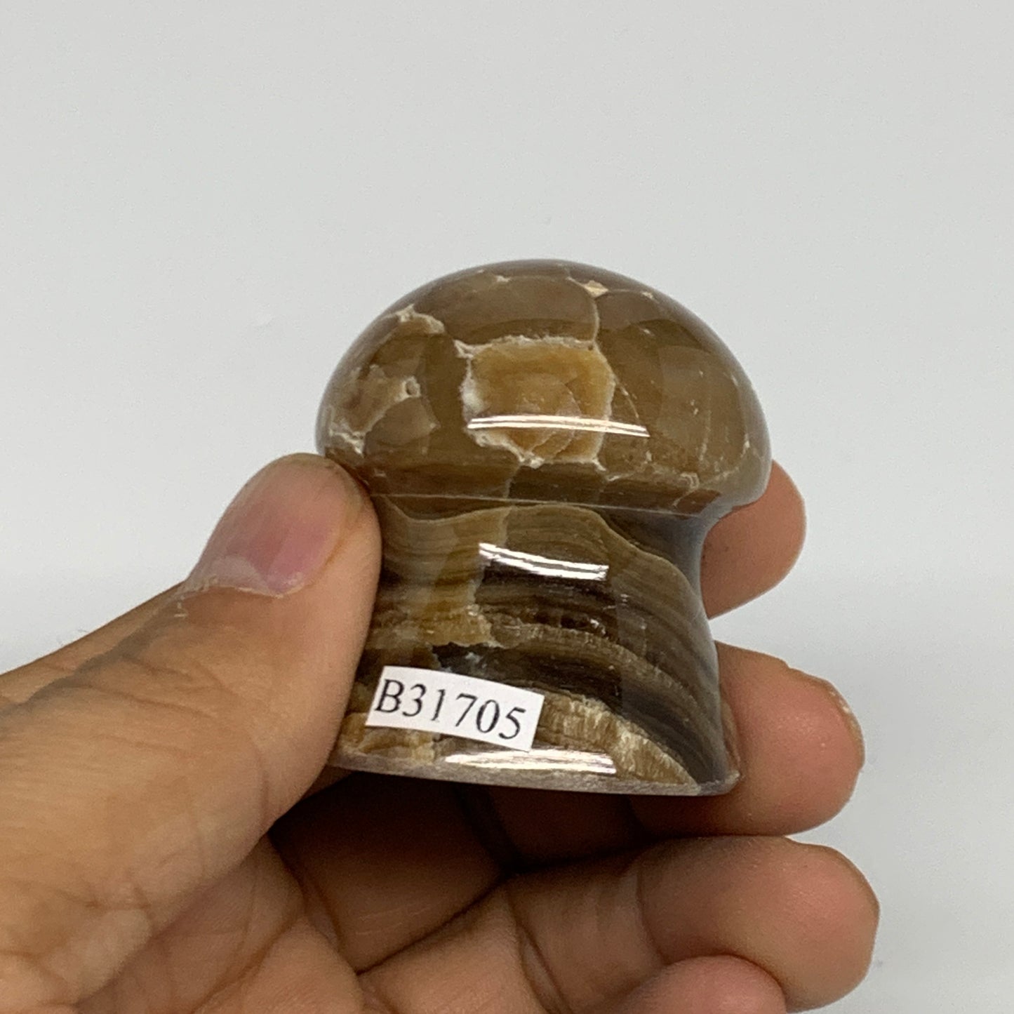 87g, 1.6"x1.4", Chocolate Calcite Mushroom 2 Pieces bonded @Pakistan, B31705
