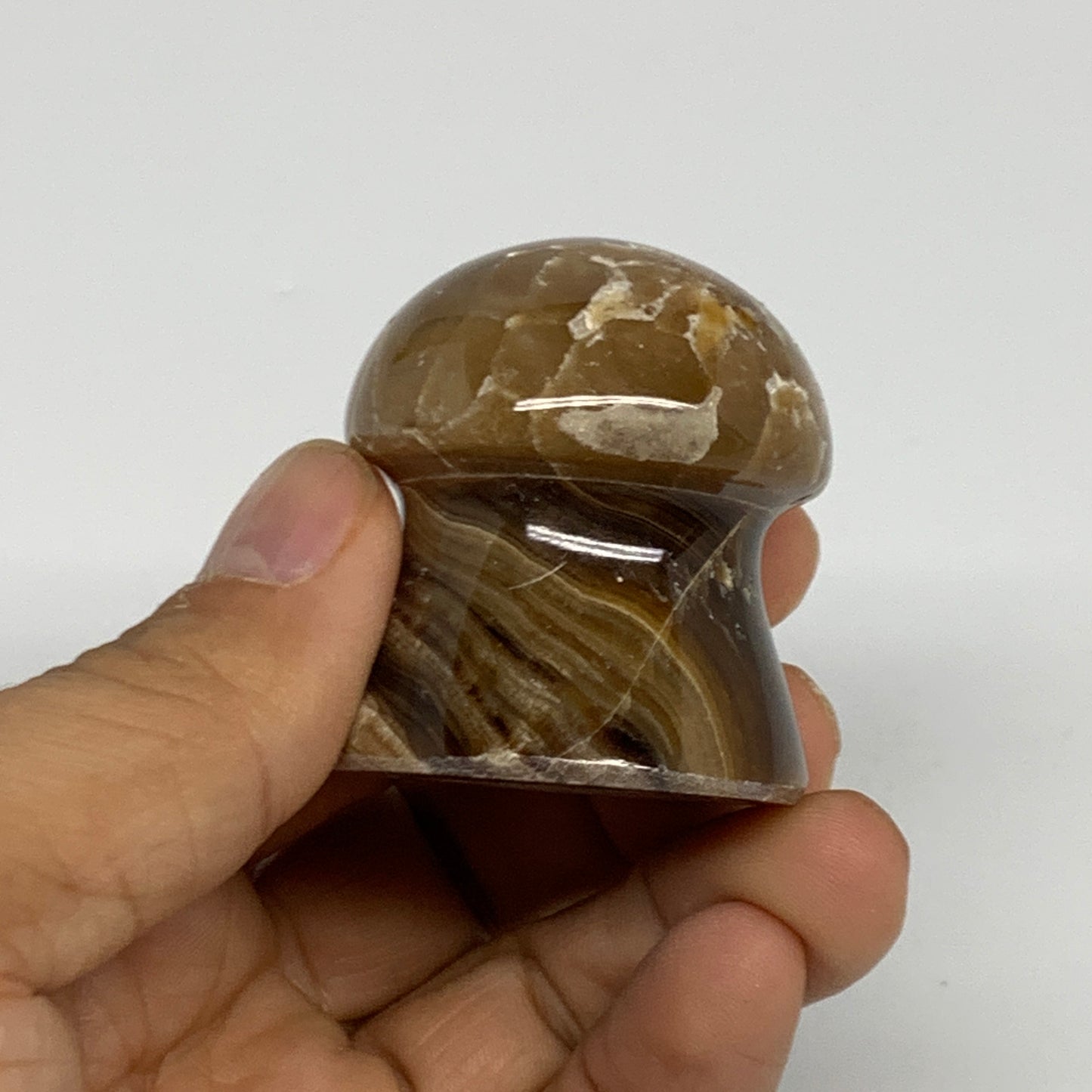 87g, 1.6"x1.4", Chocolate Calcite Mushroom 2 Pieces bonded @Pakistan, B31705