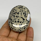 85.8g, 2.4"x1.7"x0.8", Natural Dalmatian Jasper Palm-Stone @India, B29445