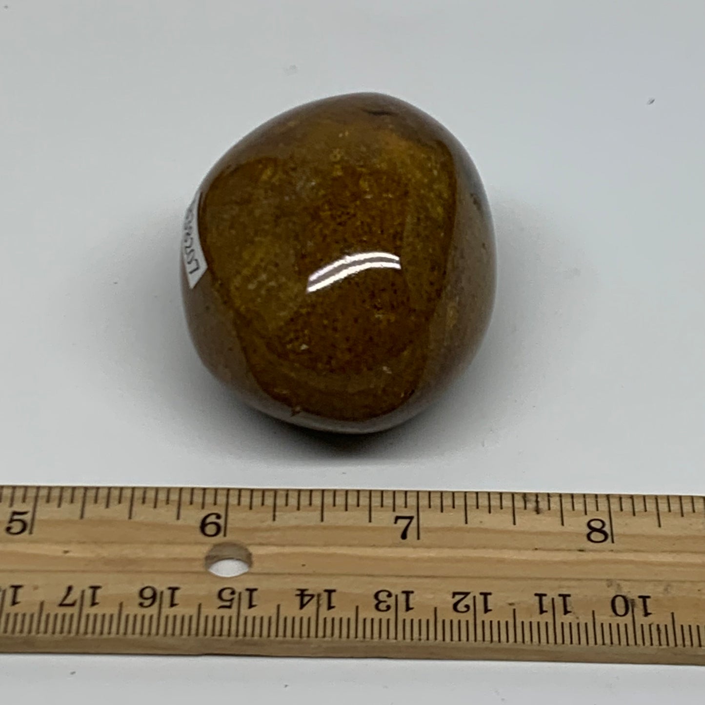 122.8g, 2.1"x1.7"x1.5" Natural Ocean Jasper Palm-Stone Orbicular Jasper, B38207