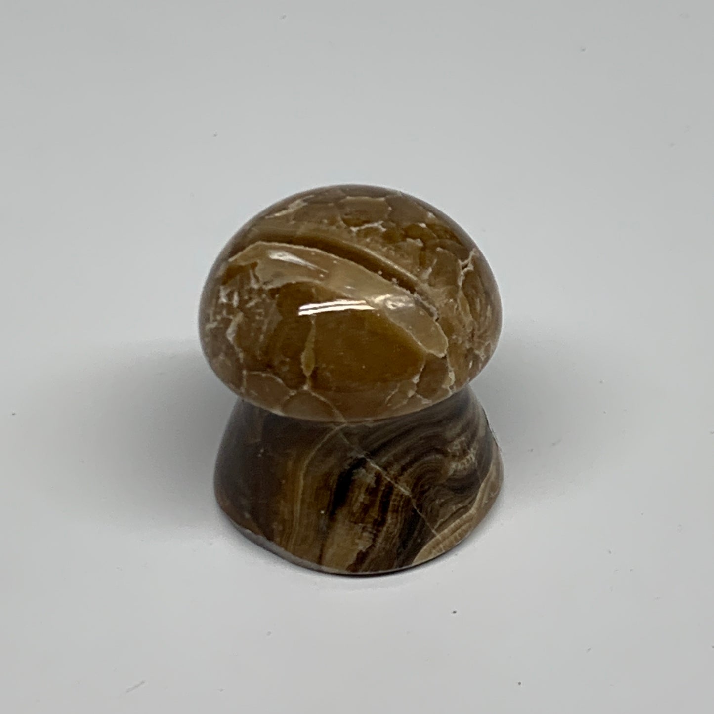 87g, 1.6"x1.4", Chocolate Calcite Mushroom 2 Pieces bonded @Pakistan, B31705